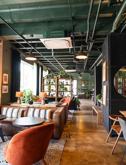 A cozy cafe with modern decor, including green plants, a mix of seating options, and abundant natural light from large windows, creating a warm atmosphere.