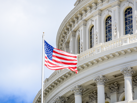 The image depicts the United States Capitol building with an American flag prominently displayed in the foreground.