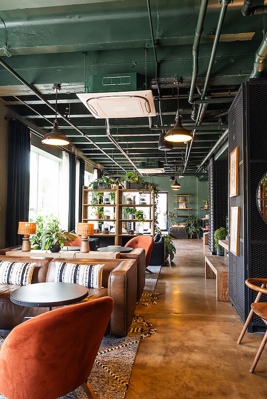 A modern cafe interior with stylish seating, plants, and warm lighting creates a cozy atmosphere.