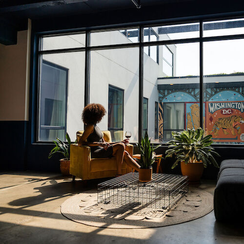 A person sits in a sunlit room with plants, looking out a large window at a mural that says 