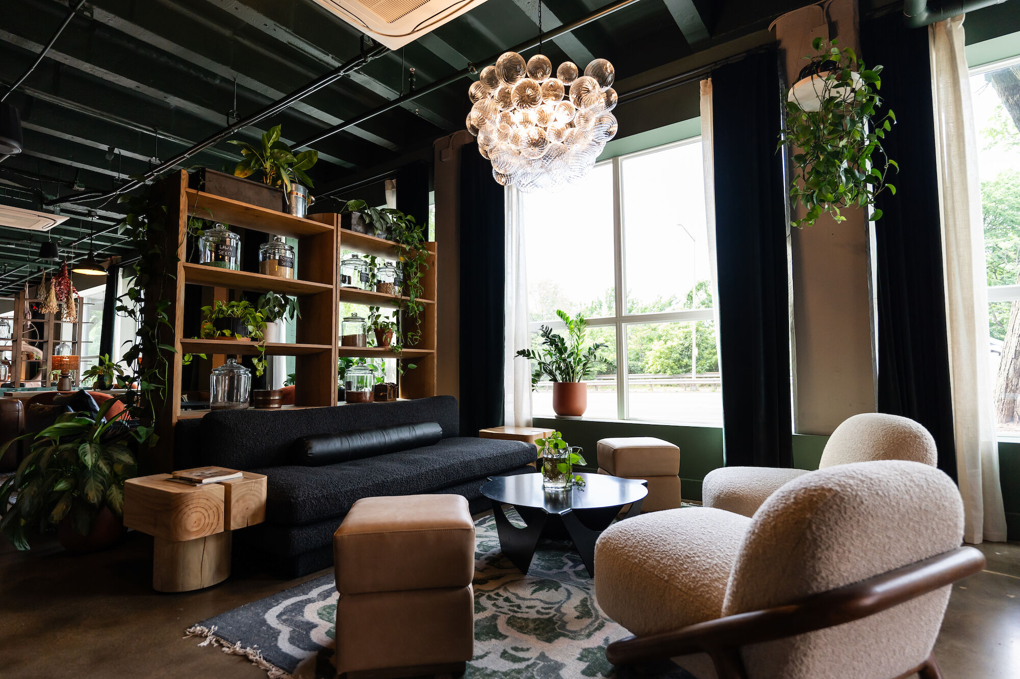 A modern, cozy living room with a black sofa, armchairs, a chandelier, plants, and large windows. There is shelving with decor near the seating area.