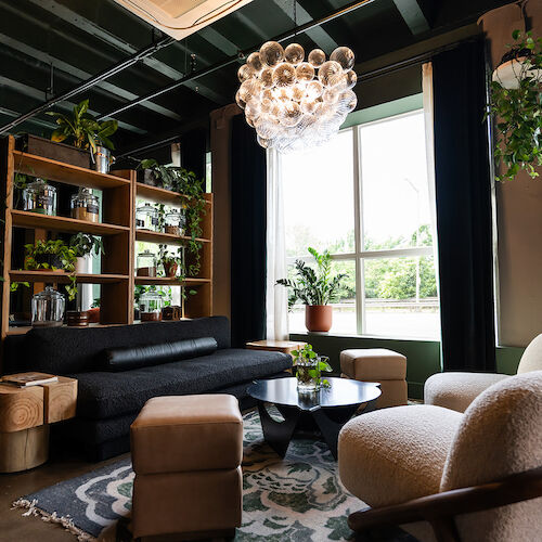 A cozy living space with modern furniture, a chandelier, many plants, large windows, and open shelving, creating a stylish and inviting atmosphere.