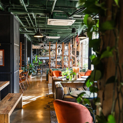 The image shows a modern indoor cafe with wooden tables, orange chairs, hanging plants, and industrial-style ceiling with visible pipes and ducts.