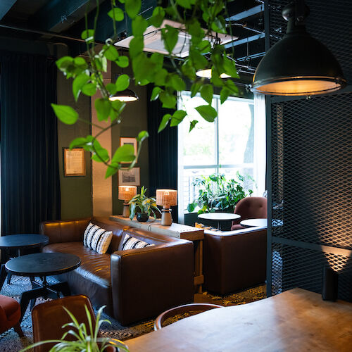 A cozy, modern lounge area with plants, a leather sofa, armchairs, wooden tables, and bright lighting from large windows and a hanging lamp.