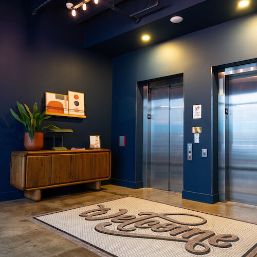 A modern lobby with two elevators, a wooden console, a plant, artwork, and a 