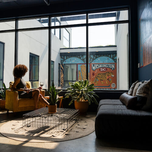 A person reading a book sits on a yellow chair near potted plants, with a large window showcasing a mural of Washington, D.C., in the background.