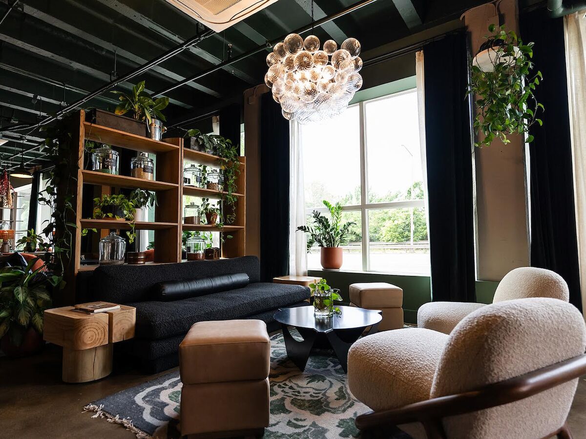 A modern living space with stylish furniture, lush plants, and a unique chandelier by a large window, exuding a cozy and inviting atmosphere.