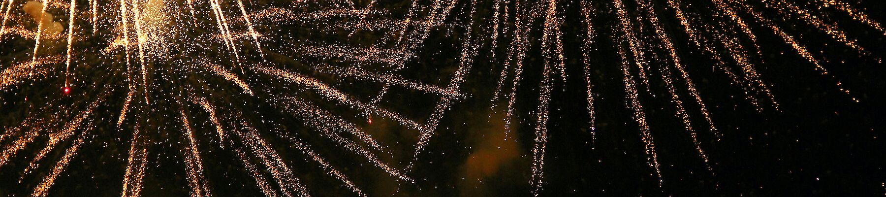 The image shows fireworks bursting with golden sparks against a dark night sky.