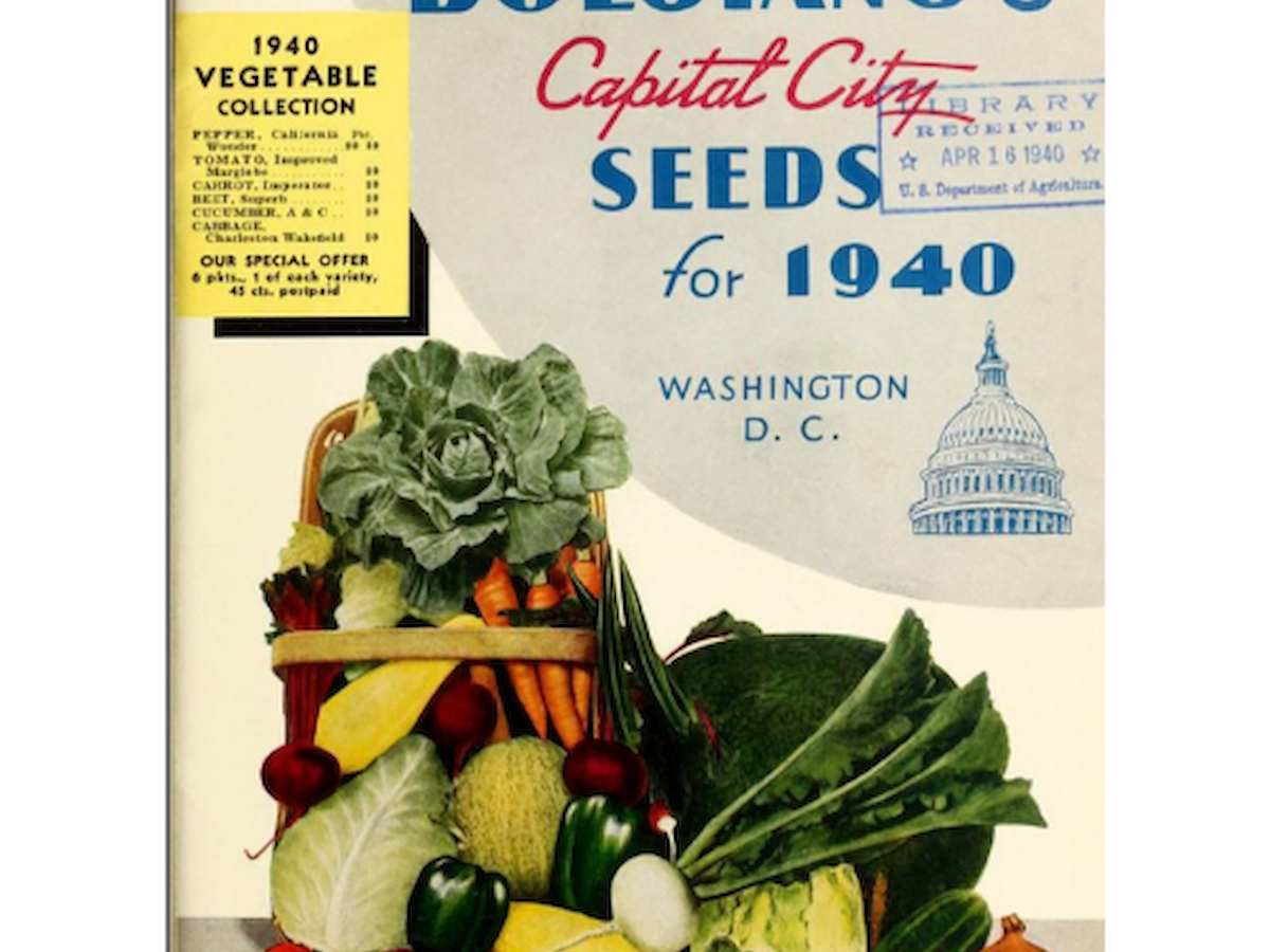 A vintage seed catalog cover titled 