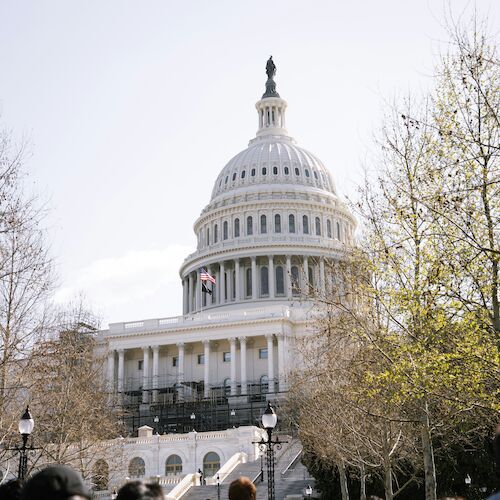 The image shows the U.S. Capitol building with people in the foreground, surrounded by leafless trees under a clear sky.